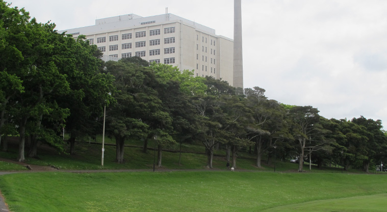 Newmarket to Ferry Terminal Path - Continue towards the Auckland Hospital.