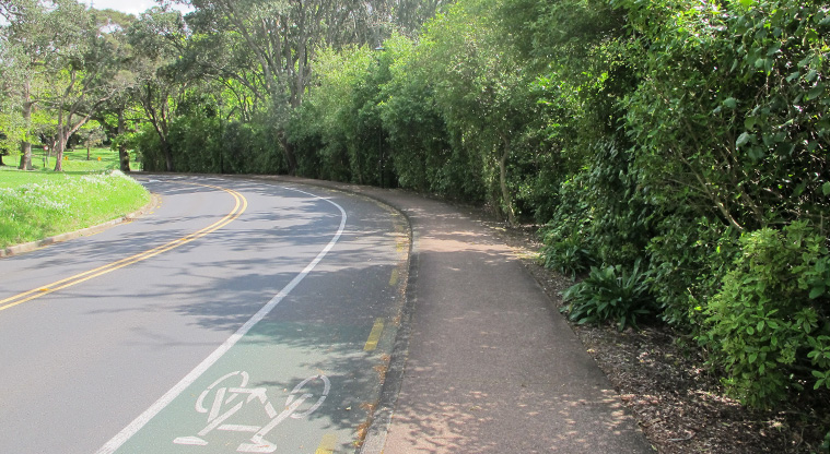 Newmarket to Ferry Terminal Path - Stay on the road and turn down Lower Domain Drive.