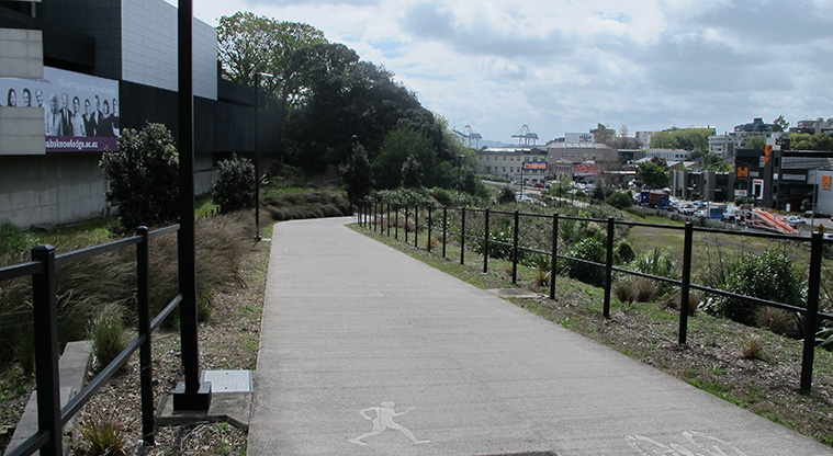 Newmarket to Ferry Terminal Path - Section of Grafton Gully Cycleway heading down towards Churchill Street.