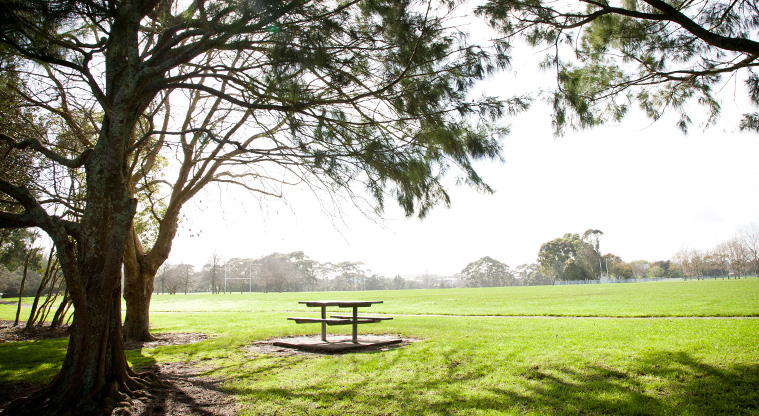 Ngāti Ōtara Path - Seating along the path at Ngāti Ōtara Park.