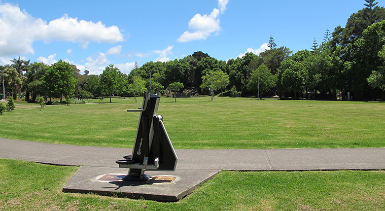 Normanton Reserve Path - Several exercise equipment stations.