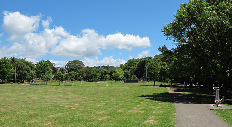 Normanton Reserve Path - Green spaces for frisbee, kites or kicking a ball.