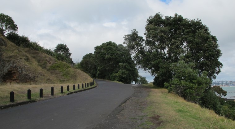 Maungaukia / North Head Path – Sealed section of the path.