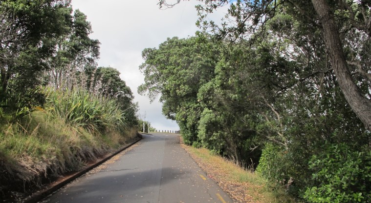 Maungaukia / North Head Path – Steep section of the path.