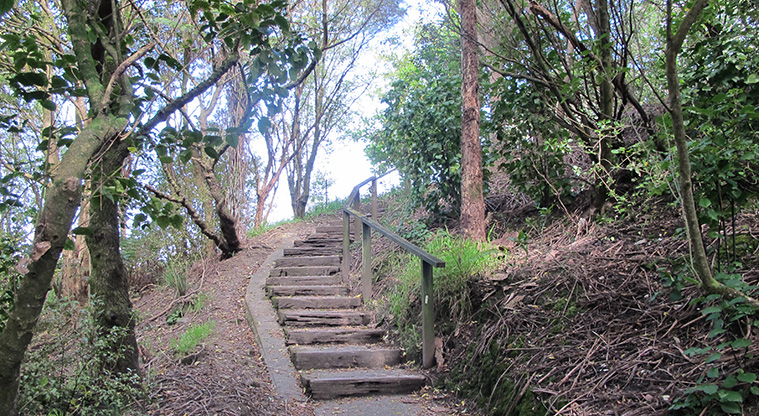 Oakley Creek Path – Section of path up steps to Heron Park.