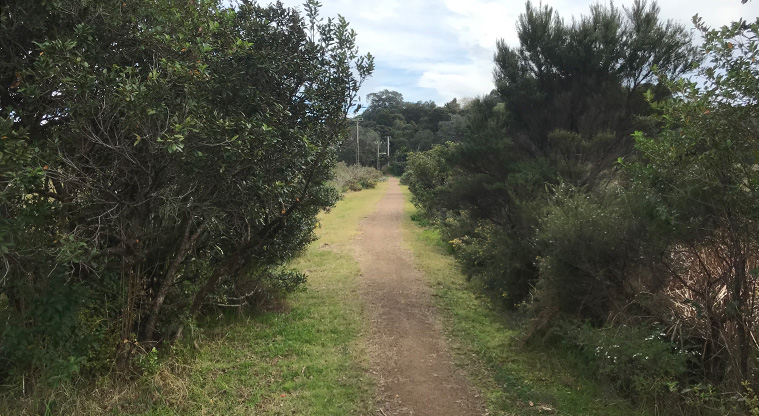 Okahuiti Path - Head down the gravel path to the Okahuiti Creek bridge
