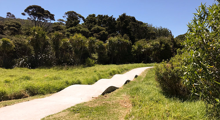 Okiwi Park Path - The ‘speed bumps’ are part of the easy bike route through the open part of the park.