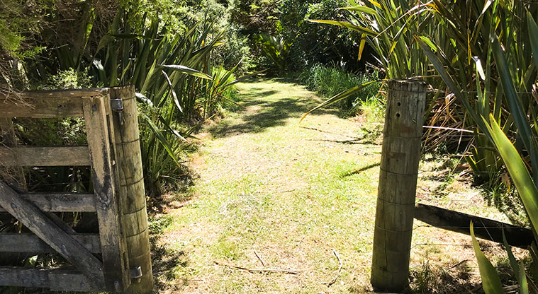 Okiwi Park Path - Enter the gate into a different world.