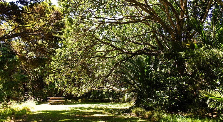 Okiwi Park Path - Okiwi Park is a real oasis.