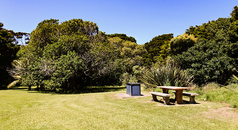 Okiwi Park Path - BBQ and well kept grassy areas invite a longer stay.