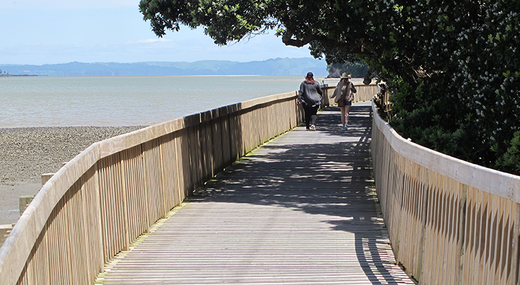Onehunga Bay to Waikowhai Path - A section of the boardwalk to Waikowhai.