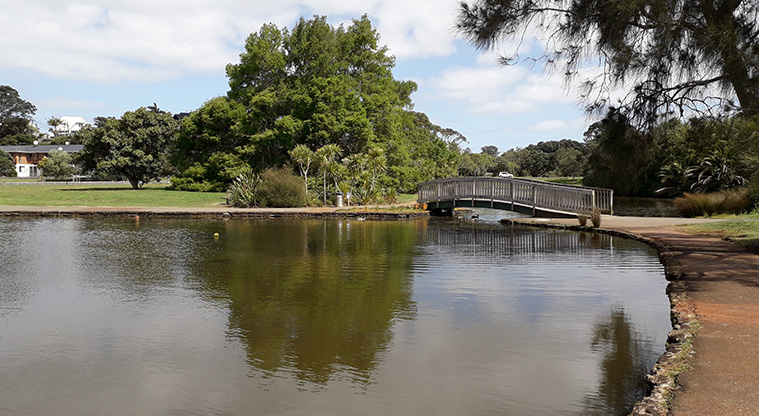 Onepoto Path - Bridge over the lake.