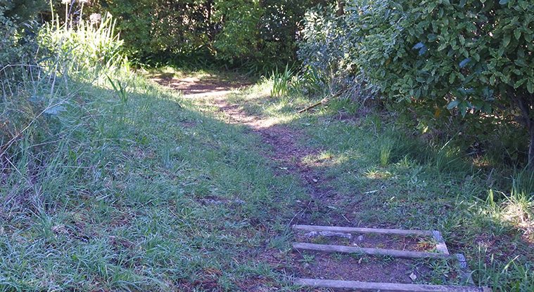Oneroa Art Path - Walk down the steps, go right, then left into Weka Road. Then continue on the path to return to the main street and Waiheke Post Office.