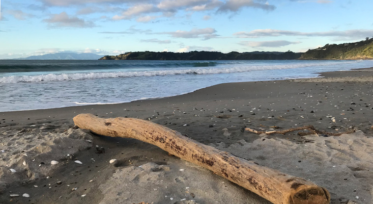 Onetangi Beach Path - The beach is always different, whatever the season.