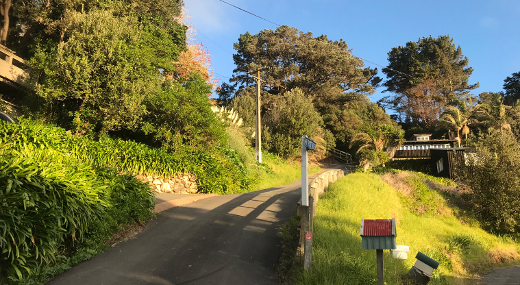 Onetangi Hidden Gems Path - From the corner of The Strand and Third Avenue. Follow the Te Ara Hura markers. The short road soon ends in a steep path with some steps.