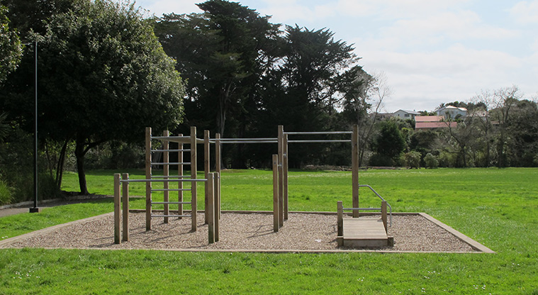 Opanuku Path - Exercise equipment in Henderson Park.