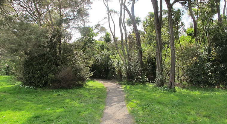 Opanuku Path - Start of trail alongside Opanuku Stream.