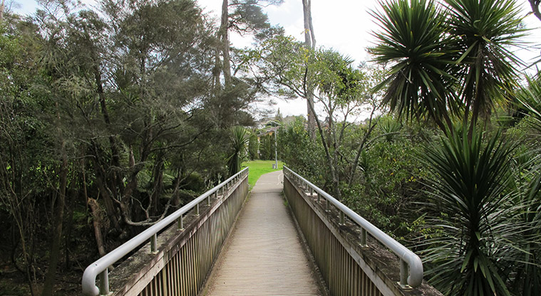 Opanuku Path - Cross the Opanuku Stream over this bridge.