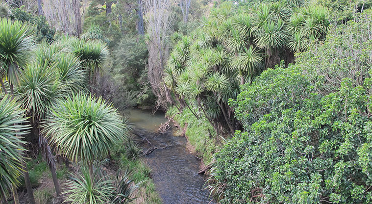 Opanuku Path - Opanuku Stream.