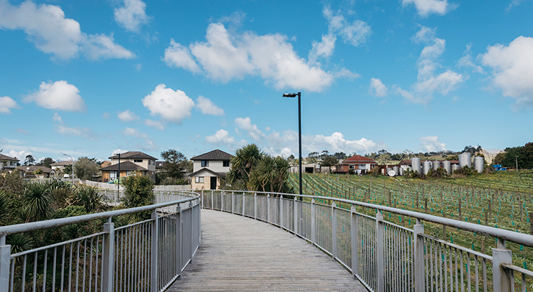 Opanuku Stream Path - The path passes some vineyards.