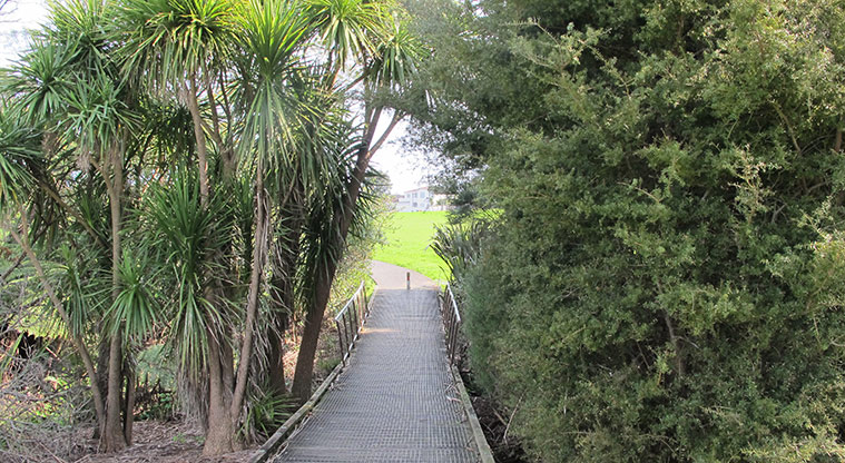 Orangihina Path - Short area of boardwalk.