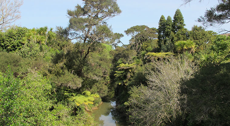 Oratia Stream Path - Oratia Stream – glimpses along the way.