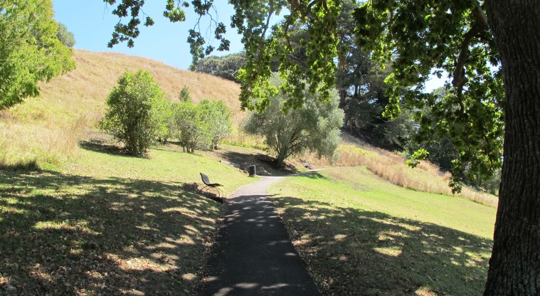 Ōhinerau / Mt Hobson Path - Section of the concrete path at the beginning of the walk.