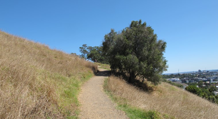 Ōhinerau / Mt Hobson Path - Gravel path nearing the crater.