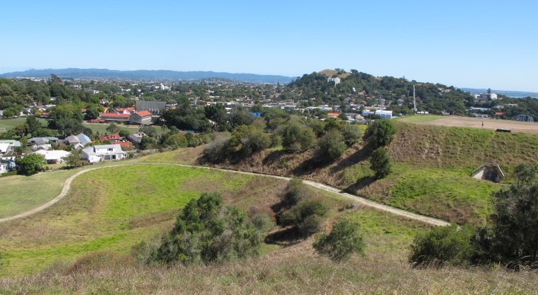 Ōhinerau / Mt Hobson Path - View overlooking the path down the summit which connects to Market Road.