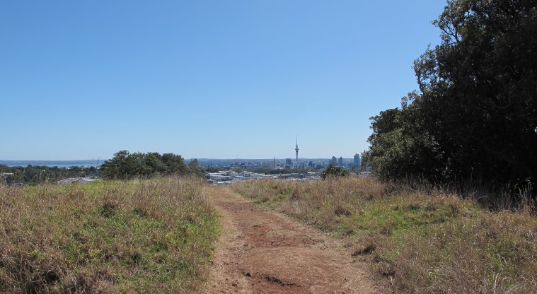 Ōhinerau / Mt Hobson Path - Section of the path heading down the summit with distinctive red volcanic soil.