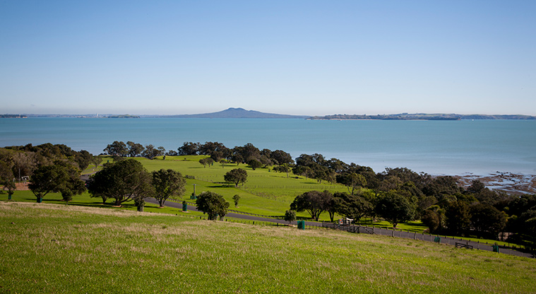 Ōmana Lookout Path - Wide Hauraki Gulf views from the lookout.