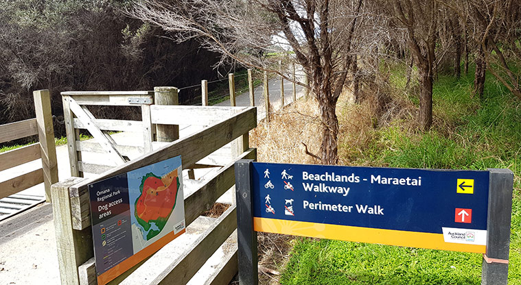Ōmana Perimeter Path - Path joins the Beachlands-Maraetai walkway for a short section.