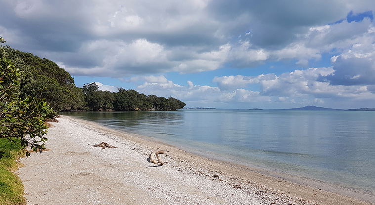 Ōmana Perimeter Path - A short walk down to Ōmana Beach.
