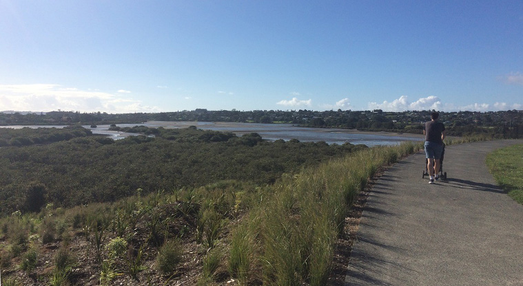 Te Ara Tahuna / Ōrewa Estuary Path - A typical section of the path alongside the estuary.