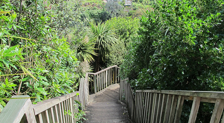 Ōrākei Basin Path - Section of path with steps down from Meadowbank Road.