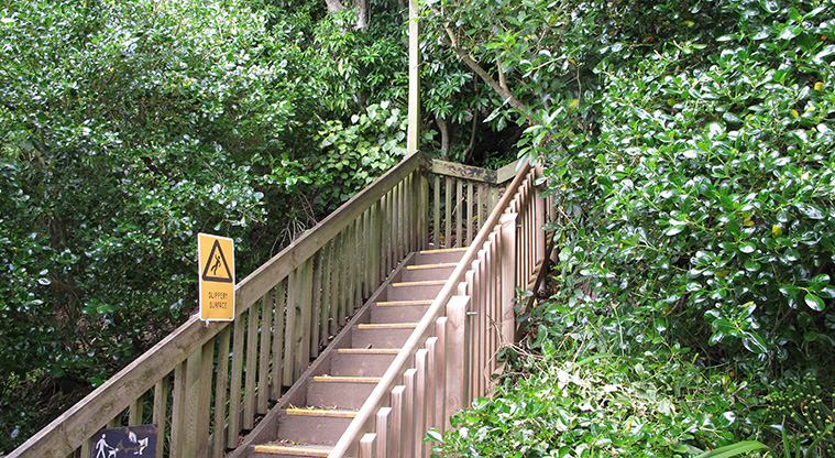 Ōrākei Basin Path - Steep steps from Lucerne Road.