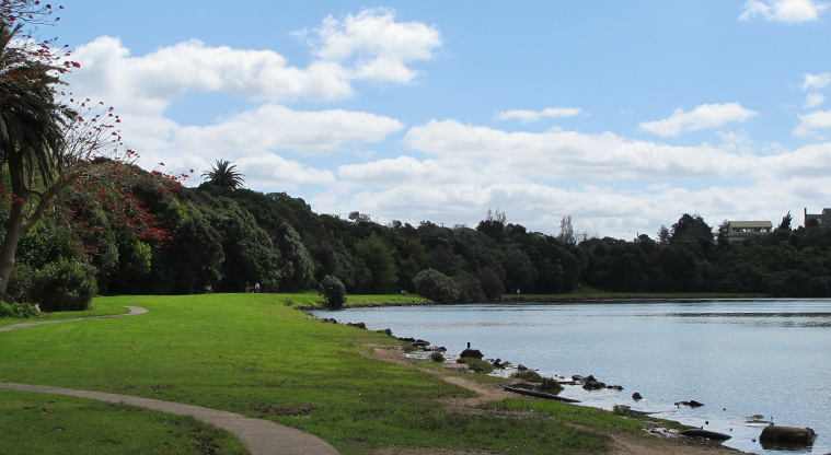 Ōrākei Basin Path - A view of the off-leash dog exercise area.