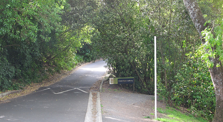 Ōrākei Basin Path - A short section of path that is a shared space.