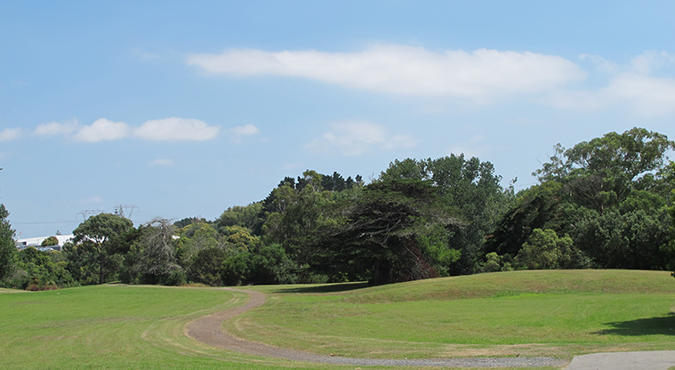 Ōtara Path - The path turns into a relatively flat gravel path for the remainder.