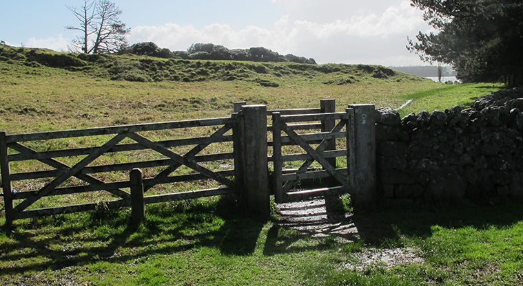 Ōtuataua Puketāpapa Cone Path - The start of the path.