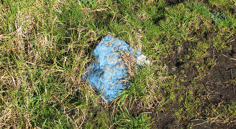 Ōtuataua Puketāpapa Cone Path - The path is marked with blue painted stones set into the ground.