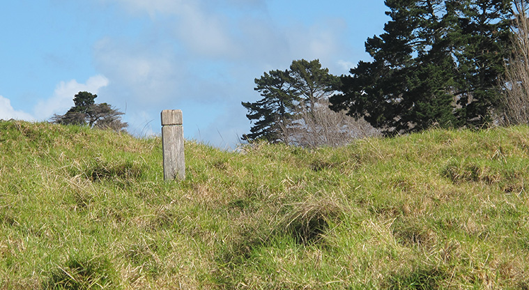 Ōtuataua Puketāpapa Cone Path - Follow the path markers.