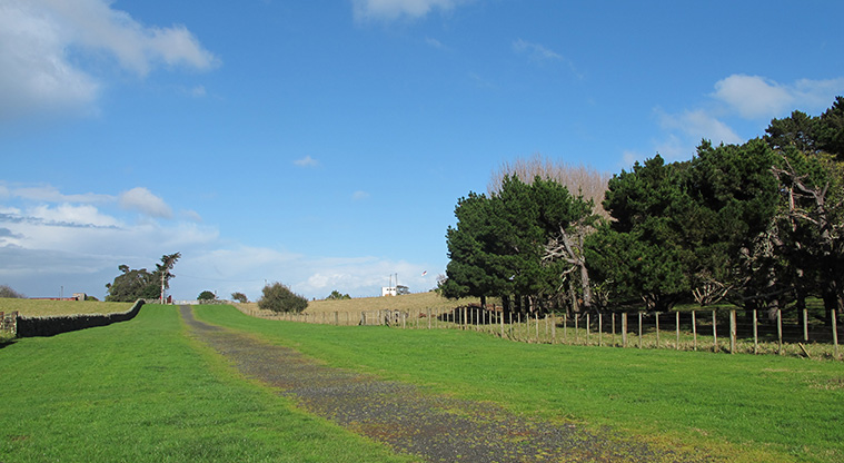 Ōtuataua Stonefields Path - The path viewed from the car park area.