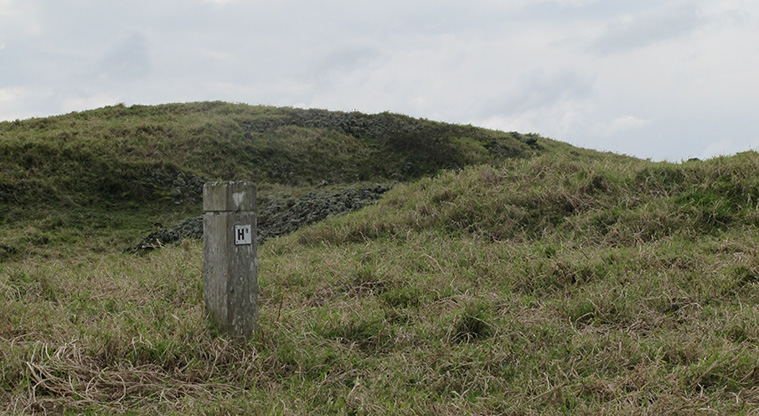 Ōtuataua Stonefields Path - The path markers along the route.