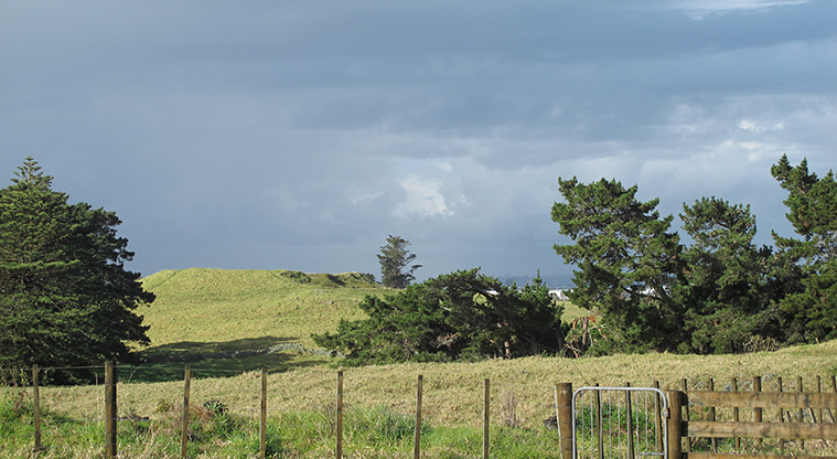 Ōtuataua Stonefields Path - View from the path to the Puketāpapa cone.