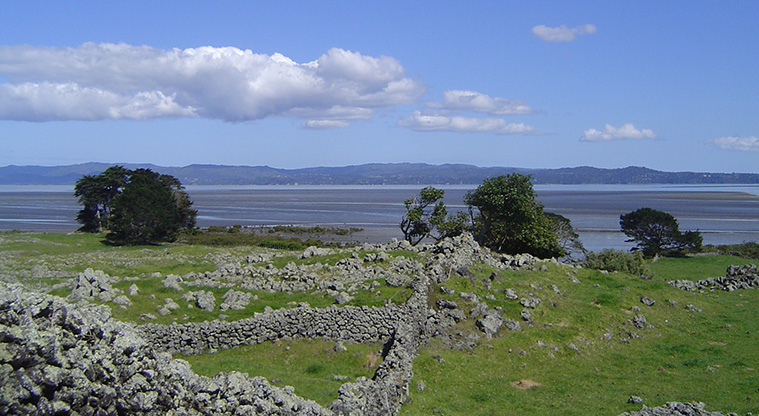 Ōtuataua Stonefields Path - A view from Stonefields over the Manukau Harbour.
