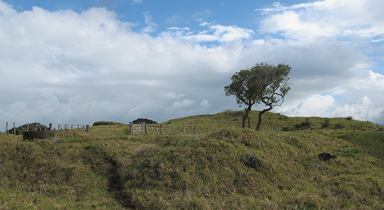 Ōtuataua Stonefields Path - The path has some undulating sections.