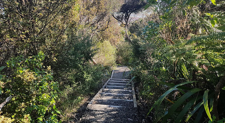 Pae-mohani / Manukau Domain Path - Path descends down a number of flights of steps