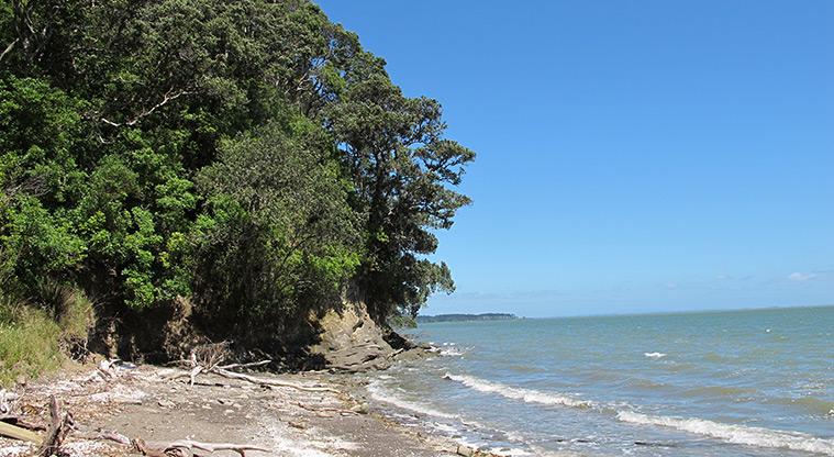 Pae-mohani / Manukau Domain Path - Impressive views when the tide is in