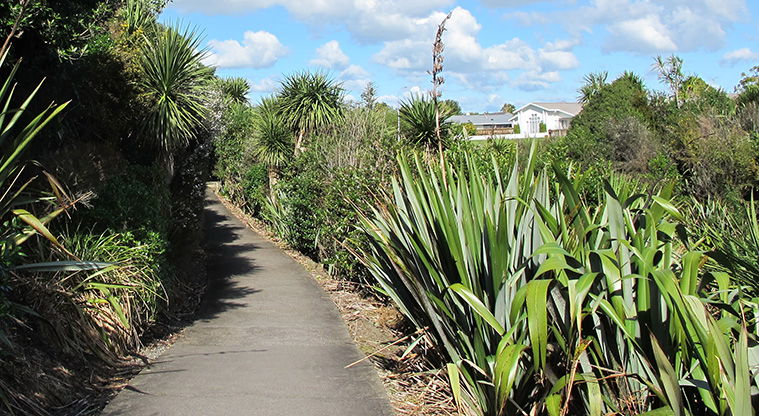 Pakuranga Creek Path - The beginning of the path runs through pockets of native bush.